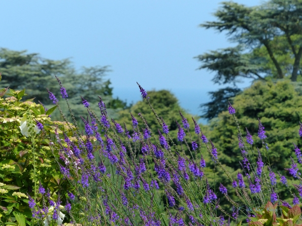 Echappée sur la mer